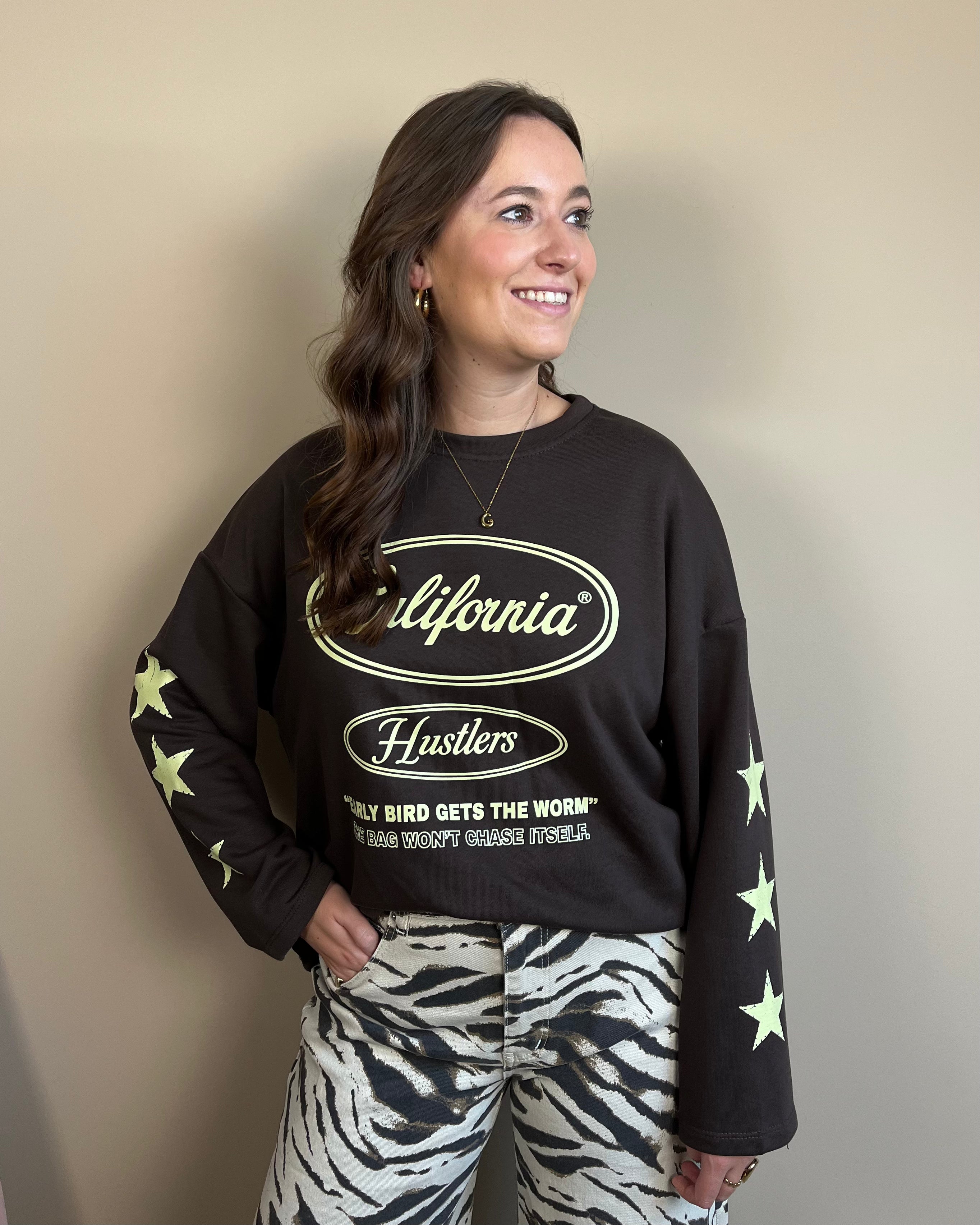 Tess sweater - Bruin/pistache