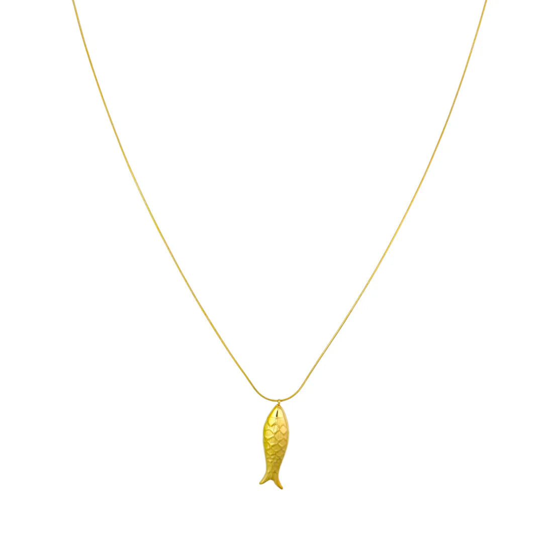Lange ketting vis