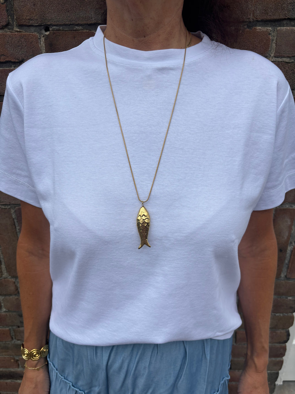 Lange ketting vis