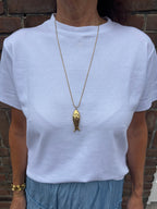 Lange ketting vis