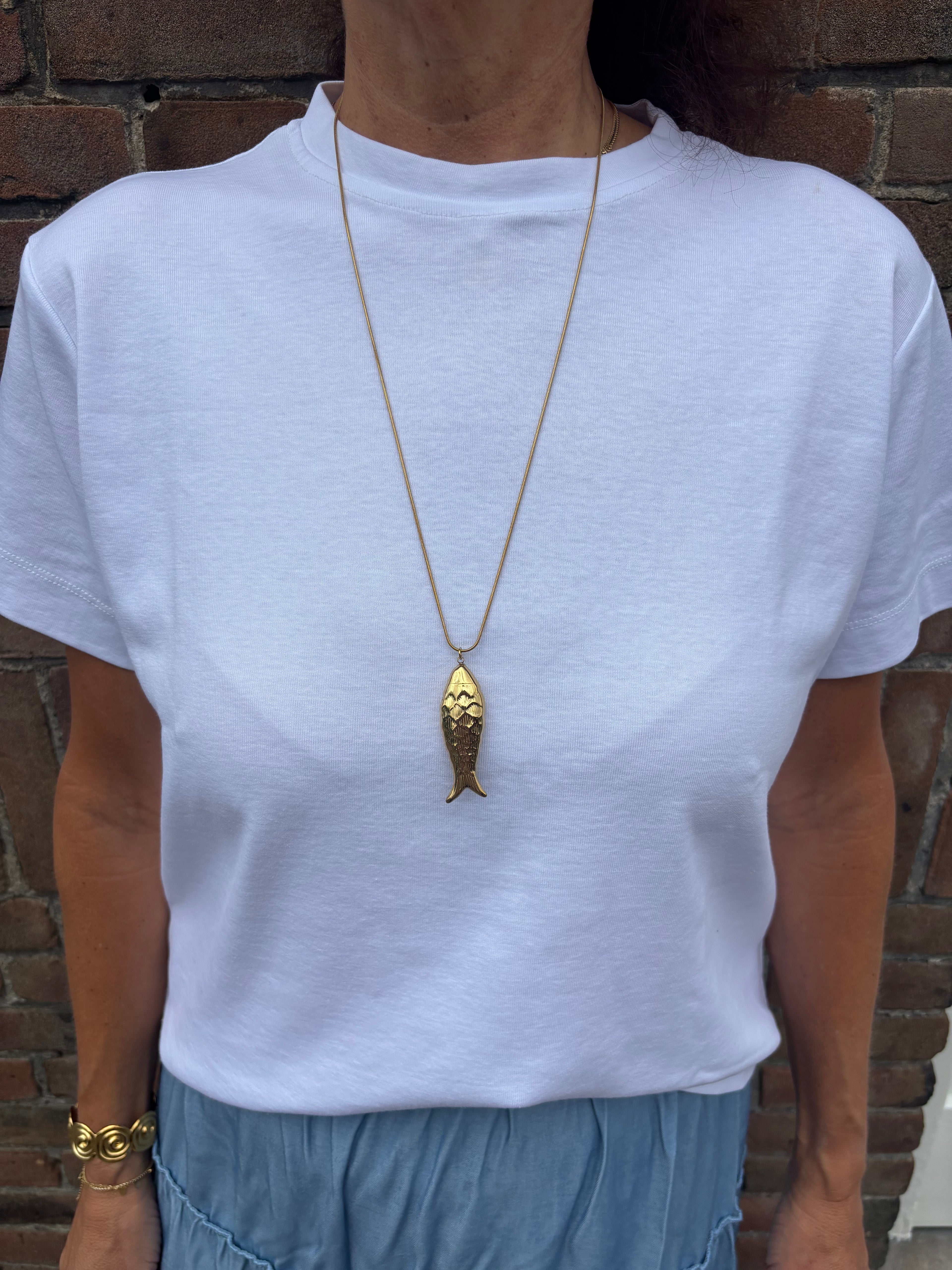 Lange ketting vis