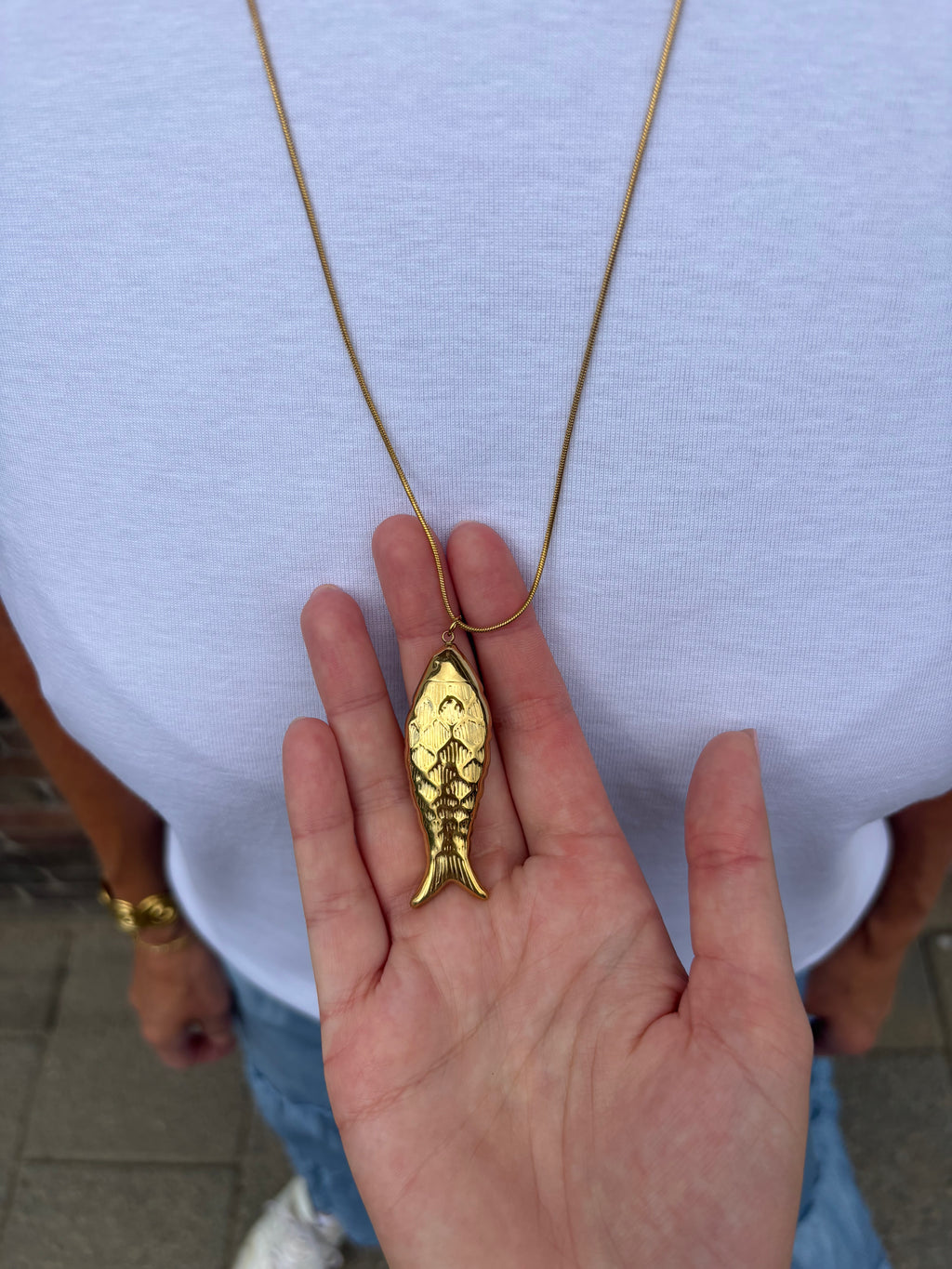 Lange ketting vis