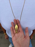 Lange ketting vis