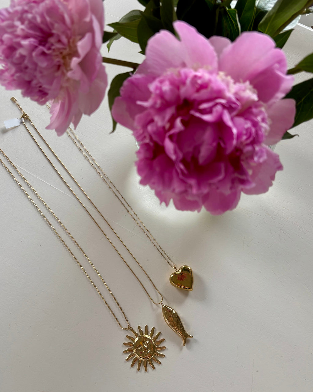 Lange ketting vis