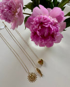 Lange ketting vis